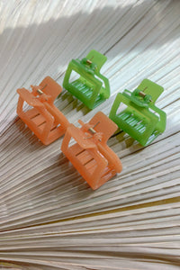 Marta Clip / cactus
